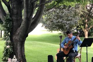 Jim Falbo. Guitarist - 6