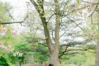 Lauren R Swann Photography, LLC - 38