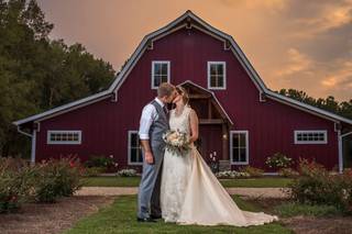 Kurt Hilton Photography - 7