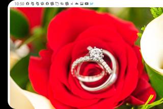 Jennifer Nicole Photography - 35