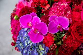 Floral Lady Design Studio LLc - 12