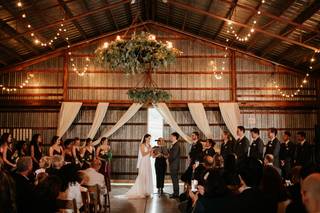 Nostrano Vineyards - 11