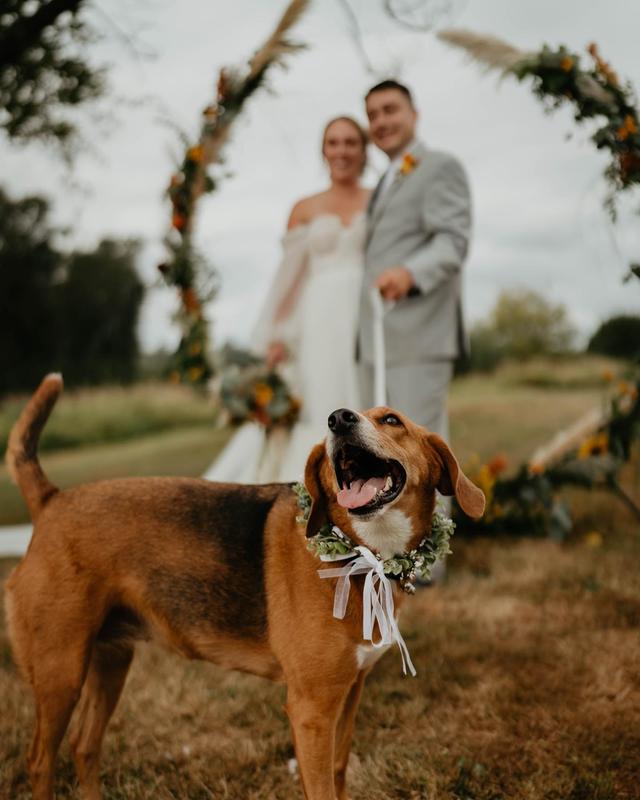 Taylor Denton Photography - 2