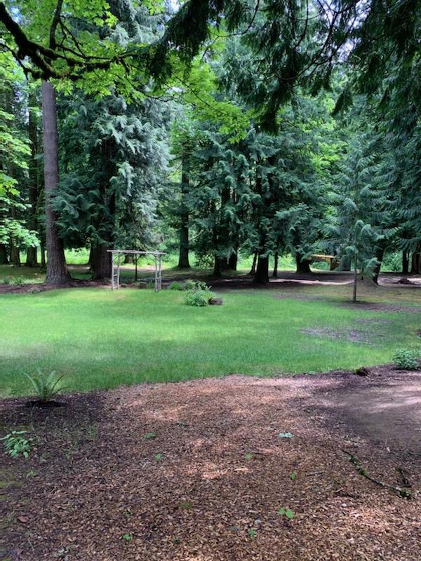 Cedarville Lodge - 2