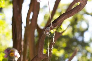 Seagrass Floral Studio - 6