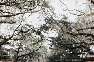 Ivory and Beau - 57