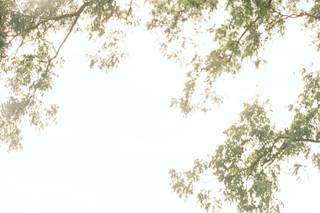 Grelen Events & Weddings - 21