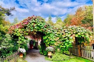 Black Diamond Gardens - 7
