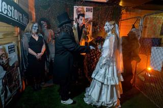 Theme Las Vegas Weddings - 67