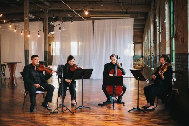 Highline String Quartet - 3