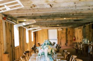 Distinct Florals Designs by Anne Marshall - 19