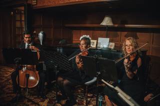 Go 4 Baroque – String Quartet - 19