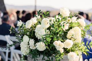 Lovely Peonies - 54