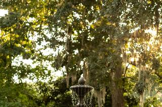MDB Photography - 25