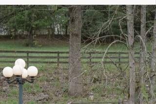 Thomas Farm Weddings & Events - 17
