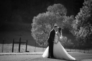 Aska Farms of Blue Ridge - 6