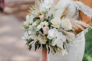 Ivory and Beau - 125