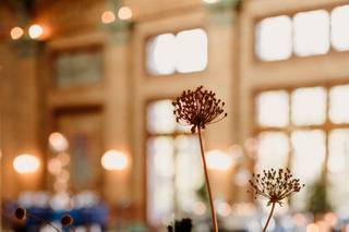 Flowers For Dreams - 77