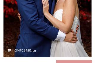 Greg Moss Photography - 21