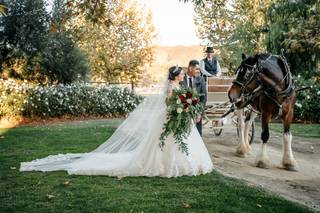 Galway Downs by Wedgewood Weddings - 41