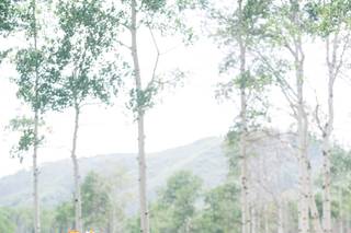 CV Flowers - Wedding - 23