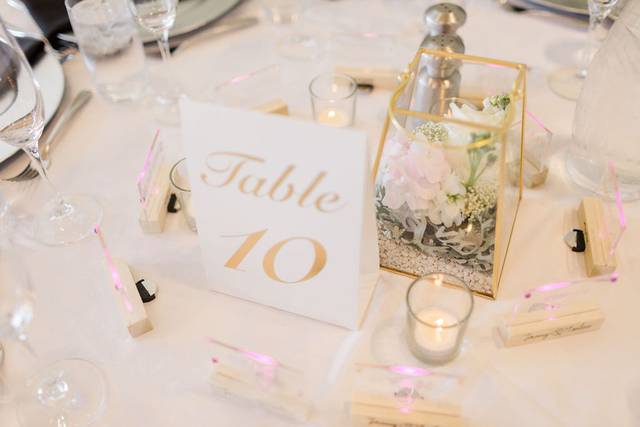 Taneva Events 2