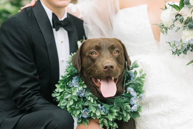 Weston + Jaclyn's Boone Hall Plantation Wedding » Aaron & Jillian  Photography