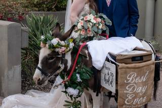 Casey Green Weddings, LLC - 6