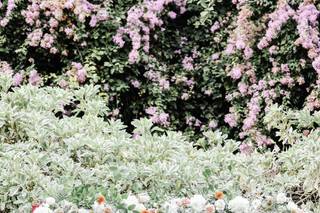 Enchanted Weddings and Events - 35