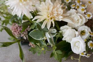 Springvale Floral - 26