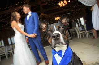 J. Darren Photography - 13