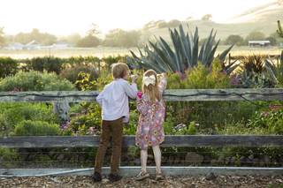 Rancho Nicasio - 11