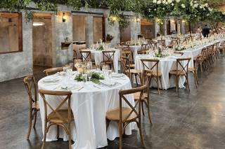 Golden Thistle Design - 21