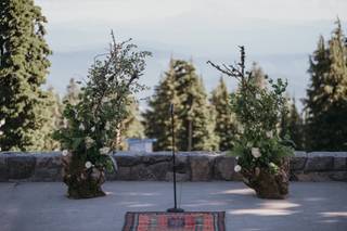 Indigo Gardens - 29