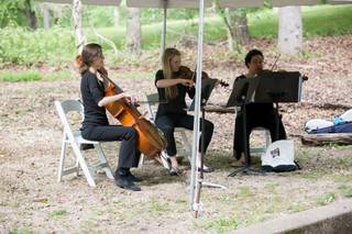 Robyn James Ensembles - 6