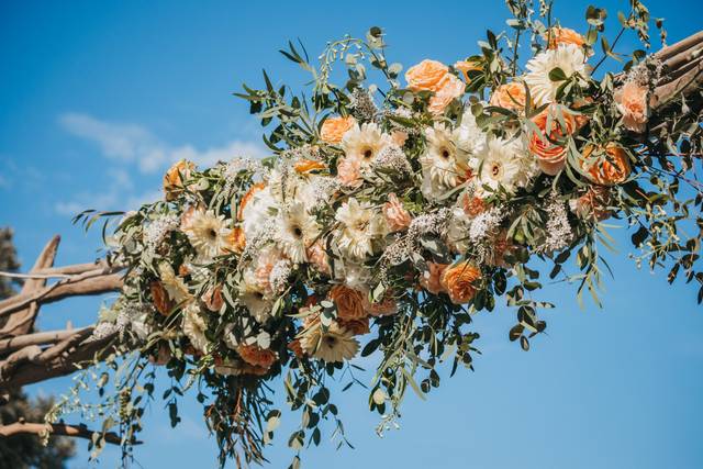 Golden Pear Flowers 3