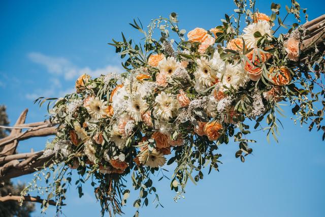 Golden Pear Flowers - 3