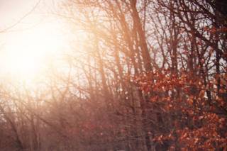 Chris Smanto Photography - 20