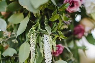 JoLee Blooms & Design - 13