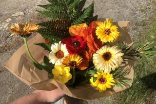 Sterling Flower Farm LLC - 15