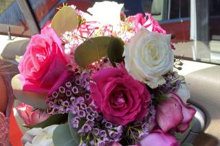 Draping Wedding - 117