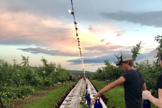 Alyson's Orchard - 18