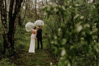 Evergreen Photo - 15