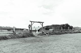 The Barn at Howard Creek Farm - 6