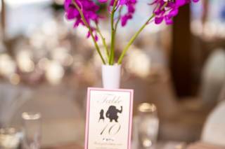 Events by DeCor - 36