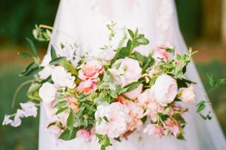 Radian Photography - 12