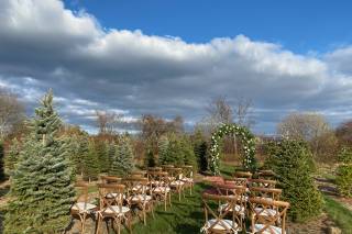 Sweet Berry Farm - 9