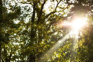 Devin Peppler Photography - 21