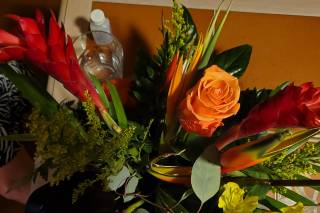 Beyond Floral - 55