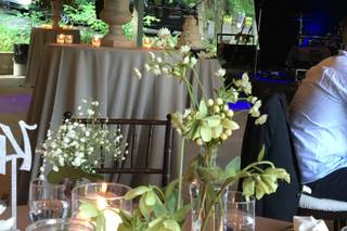 Daniel Vaughn Designs - 31